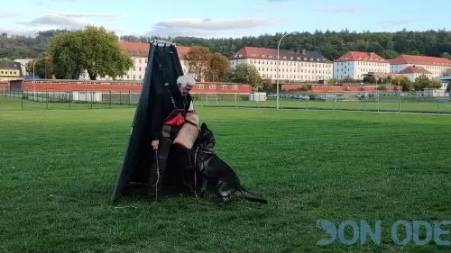 Mestre Raiser trabalhando