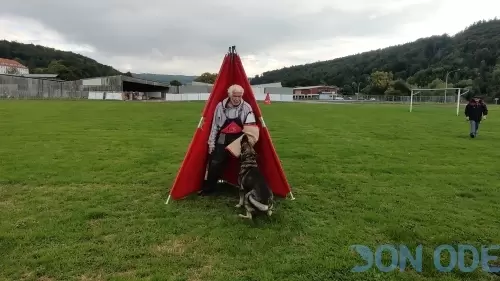 Não conheci ninguém que faça uma leitura de cães igual Dr. Raiser