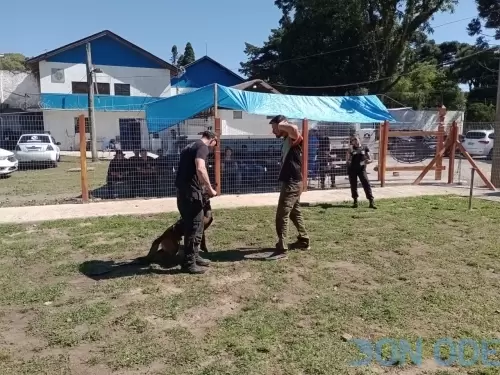 Obejetivo é o cão entrar em agressão por comando e o figurante não se mexer