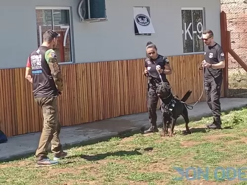 Começando do zero, passo a passo