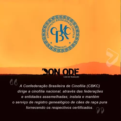 Convênios e Filiações 