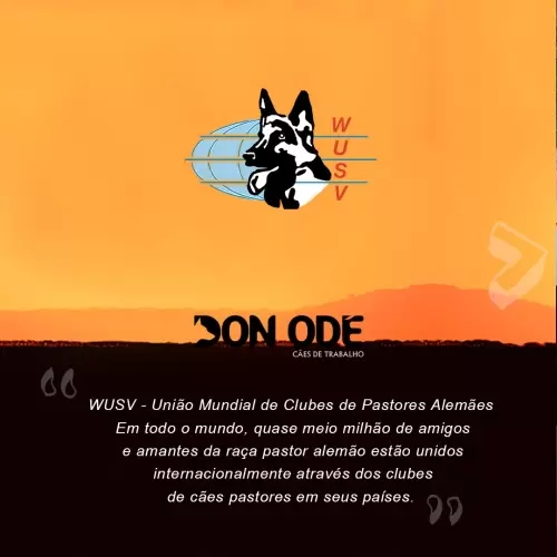 Convênios e Filiações 