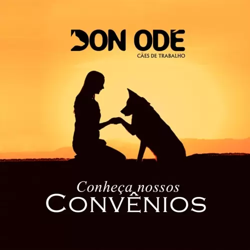 Convênios e Filiações 