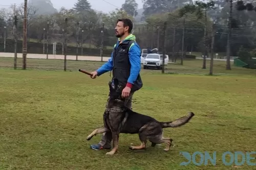 Junto de Esporte IGP