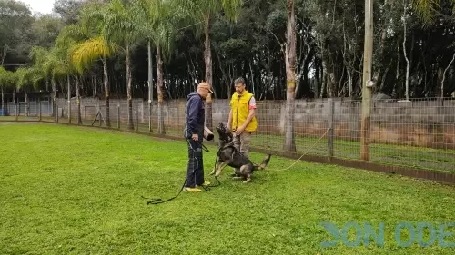 Trabalho de Late e Revista