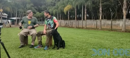 Pastor Alemão Preto Inka participando das filmagens