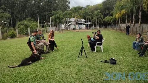 Conversa entre amigos