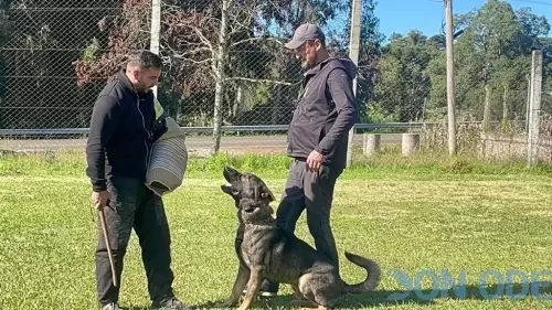 Seminário Privado com Igarki