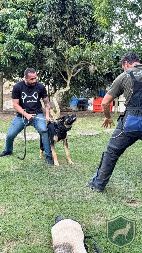 Seminário em Vitória da Conquista/BA - 16 a 18 Janeiro 2026