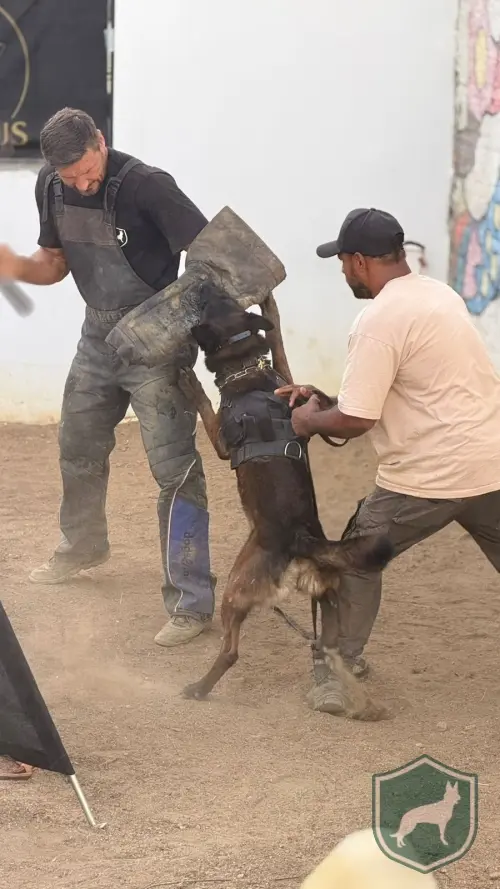 Mali
