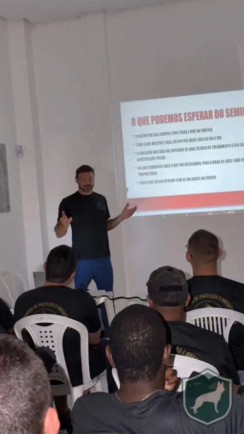 Base solida de teoria 