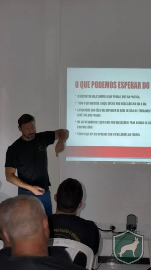 Teoria 