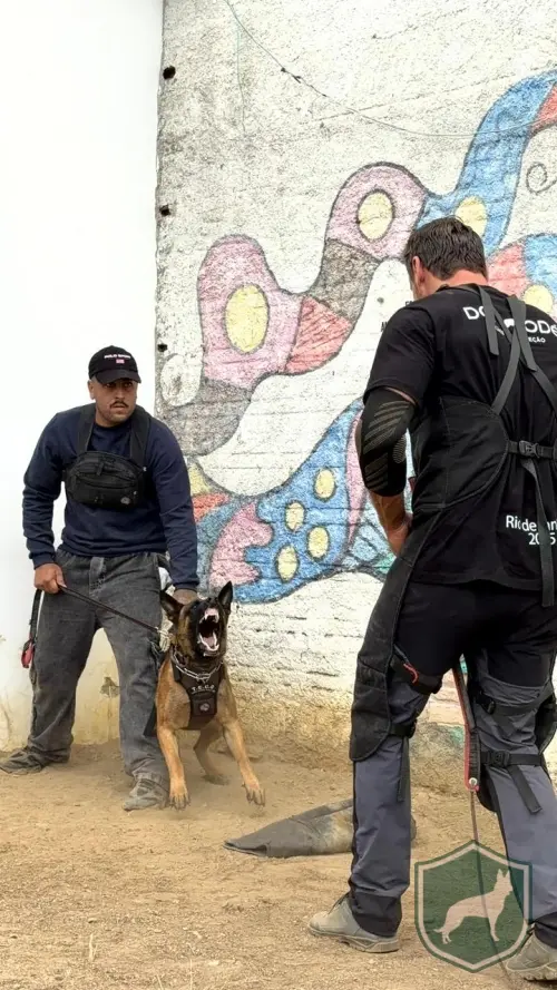  Mali
