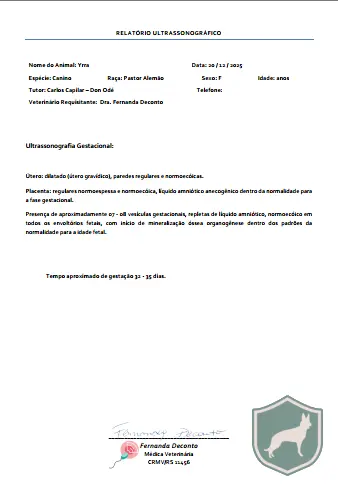  Ultrassom Gestacional 